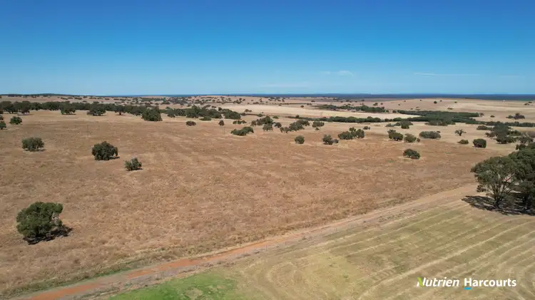Sixth view of Homely rural property listing, 374 Mogumber Road, Red Gully WA 6503