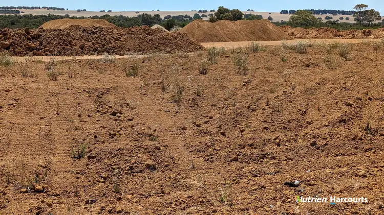 Seventh view of Homely rural property listing, 374 Mogumber Road, Red Gully WA 6503