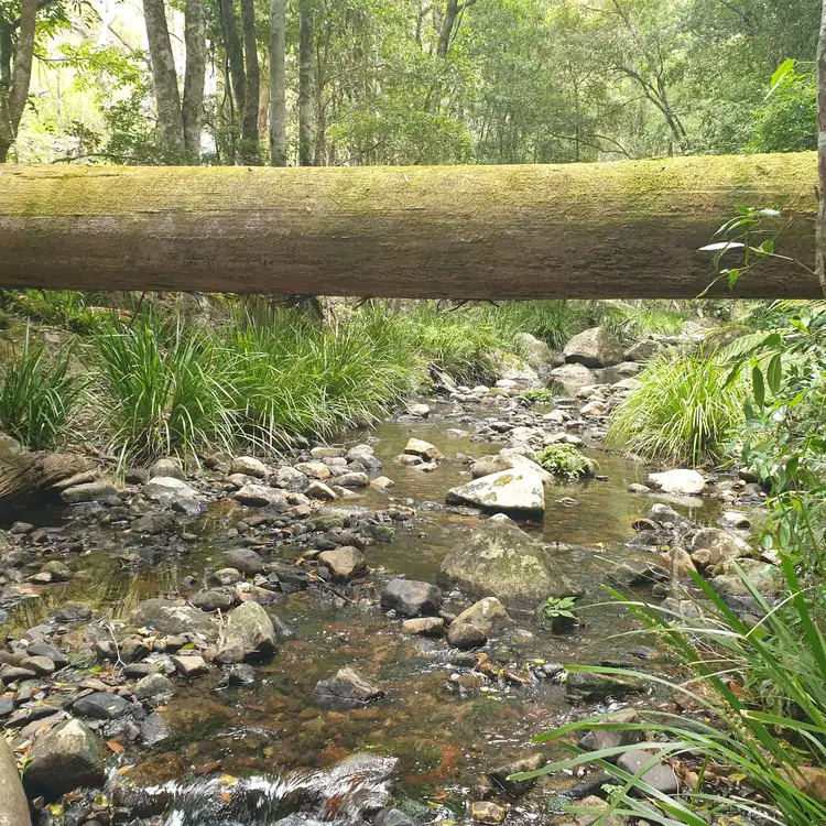 Main view of Homely rural property listing, . Lands End Road,, Kingsgate NSW 2370
