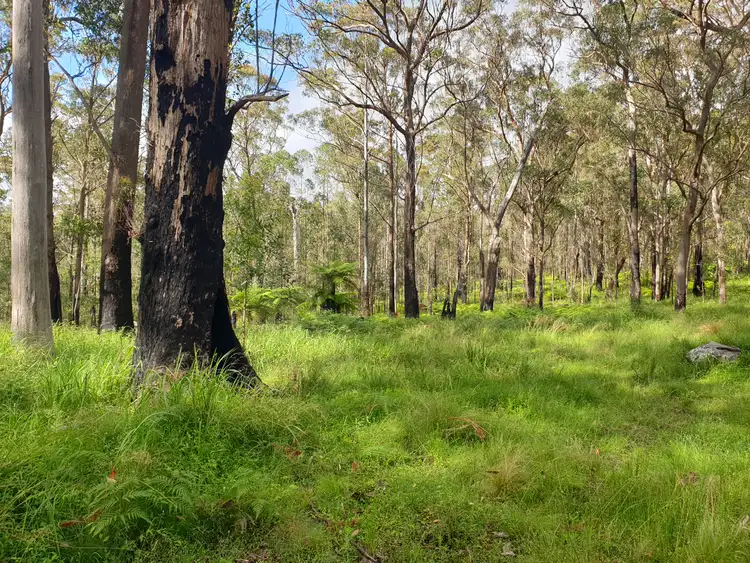 Second view of Homely rural property listing, . Lands End Road,, Kingsgate NSW 2370