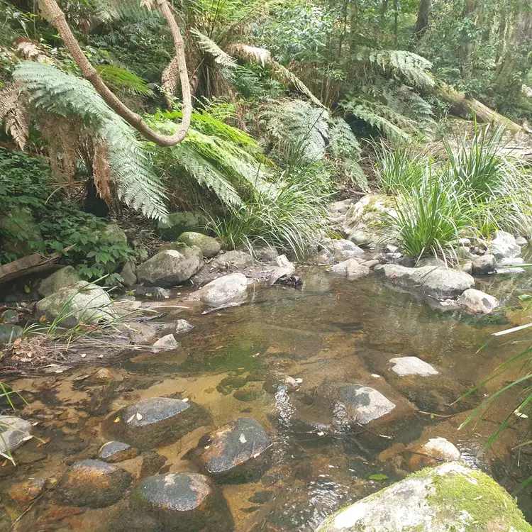 Third view of Homely rural property listing, . Lands End Road,, Kingsgate NSW 2370