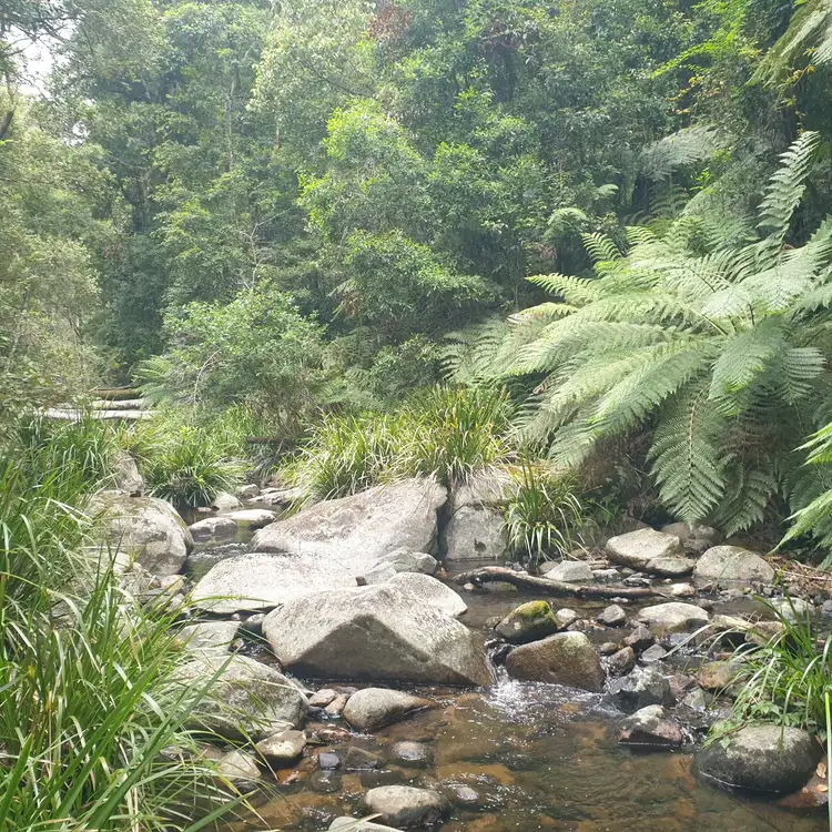 Sixth view of Homely rural property listing, . Lands End Road,, Kingsgate NSW 2370