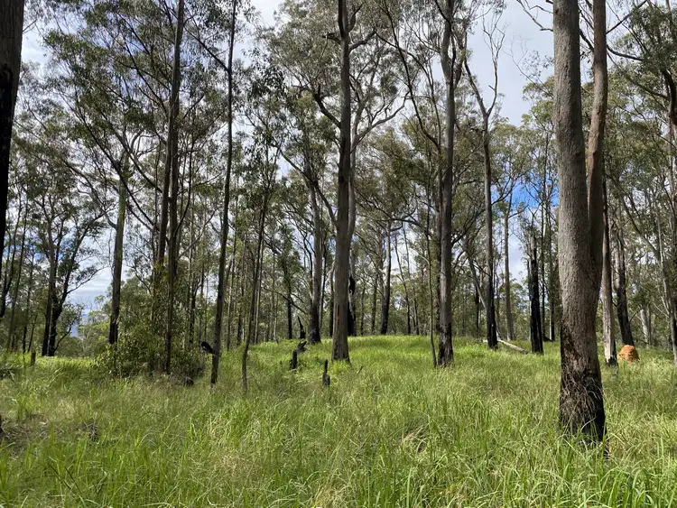 Seventh view of Homely rural property listing, . Lands End Road,, Kingsgate NSW 2370
