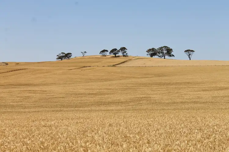 Lot 41 & 42 Roehr Road, Tarnma SA 5413