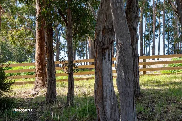 Seventh view of Homely land listing, 18 Tully Street, Southport TAS 7109