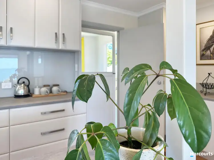 Third view of Homely house listing, 5 Wedge Court, Binalong Bay TAS 7216