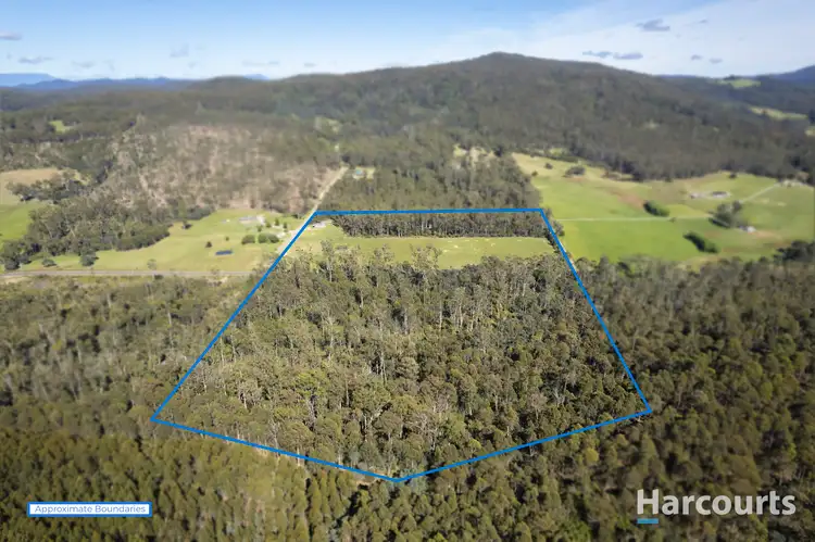 Main view of Homely land listing, 16 Delantys Road, Birralee TAS 7303