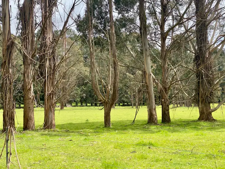 Third view of Homely rural property listing, 5464 Bass Highway, Elizabeth Town TAS 7304