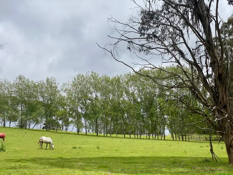 Fifth view of Homely rural property listing, 5464 Bass Highway, Elizabeth Town TAS 7304
