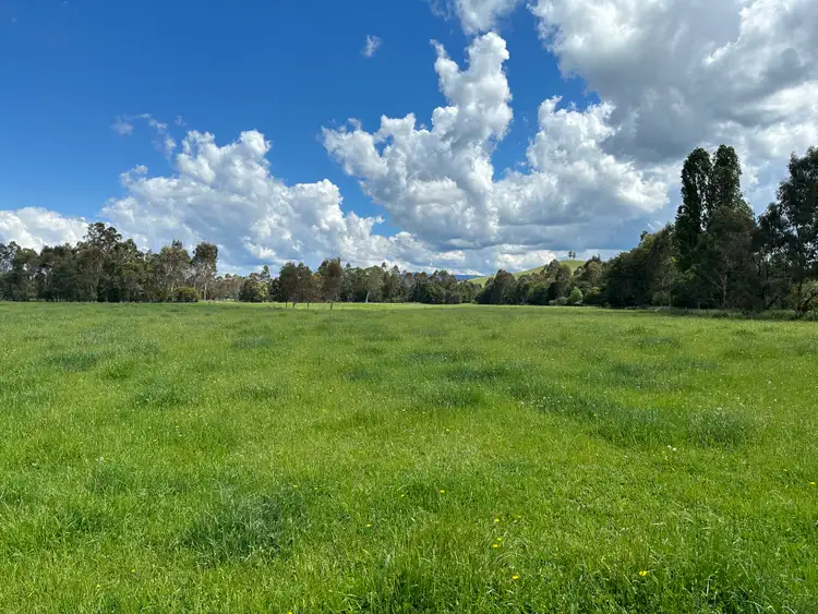 Third view of Homely rural property listing, 175 Taggerty - Thornton Road, Taggerty VIC 3714