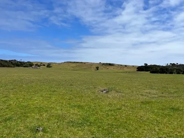 Main view of Homely rural property listing, 391 North Road, Currie TAS 7256