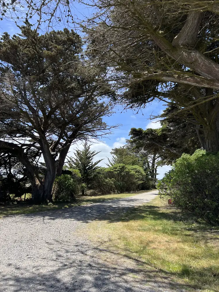 Second view of Homely rural property listing, 391 North Road, Currie TAS 7256