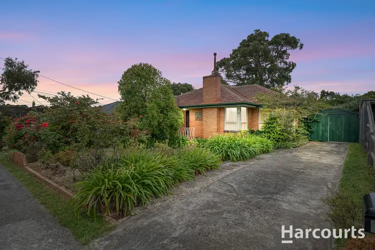 Main view of Homely house listing, 19 Tucker Road, Vermont VIC 3133