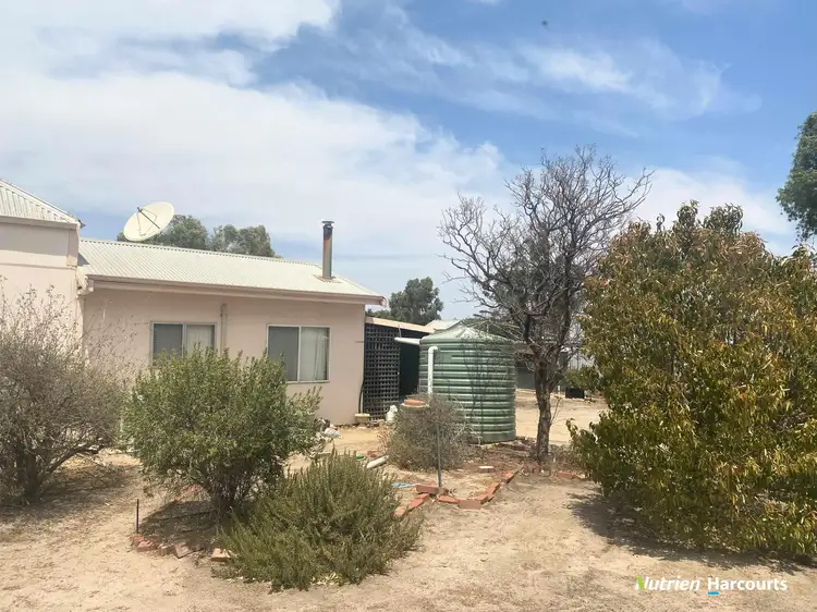 Third view of Homely house listing, 11 Mitchell, Kellerberrin WA 6410