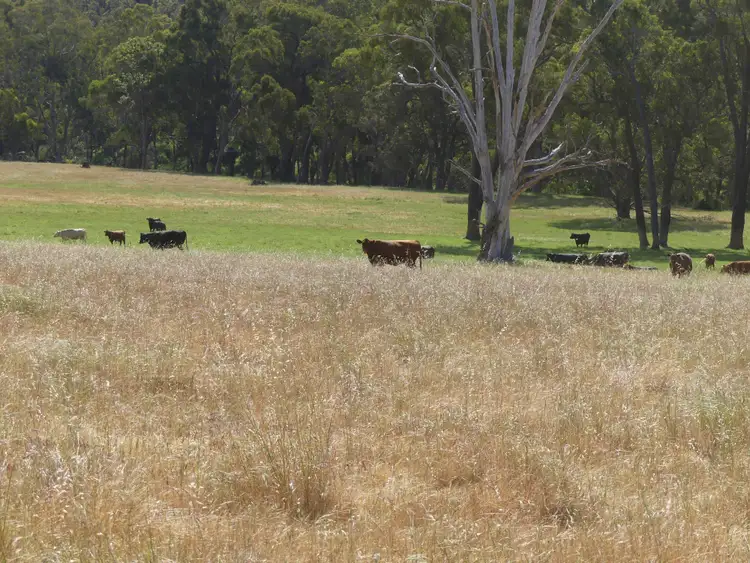 Seventh view of Homely rural property listing, 2441 Muir Highway (Perup), Manjimup WA 6258