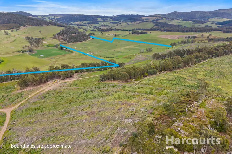 Fourth view of Homely rural property listing, 2020 Buckland Road, Woodsdale TAS 7120