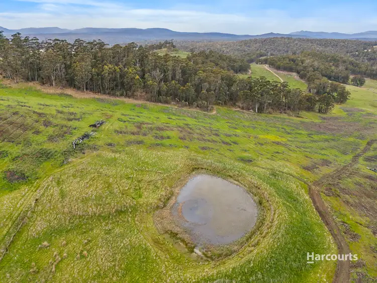 Fifth view of Homely rural property listing, 2020 Buckland Road, Woodsdale TAS 7120