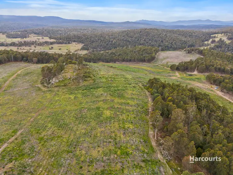 Sixth view of Homely rural property listing, 2020 Buckland Road, Woodsdale TAS 7120