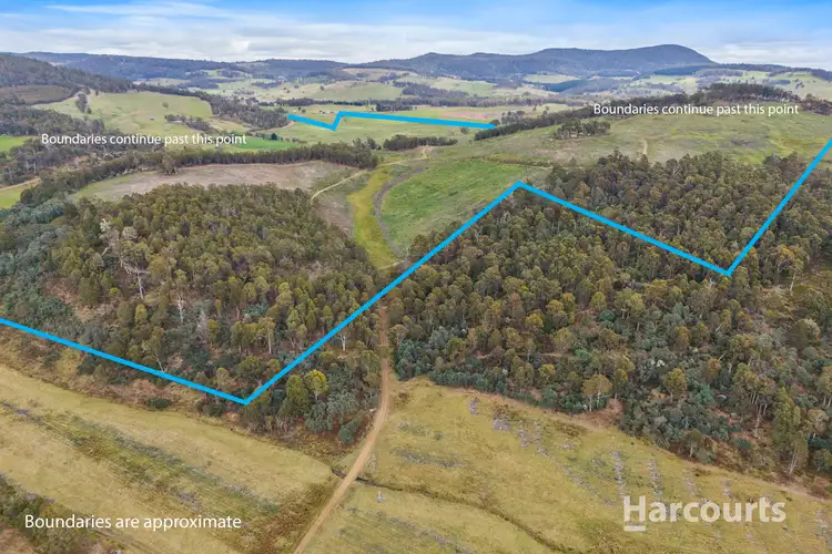 Seventh view of Homely rural property listing, 2020 Buckland Road, Woodsdale TAS 7120