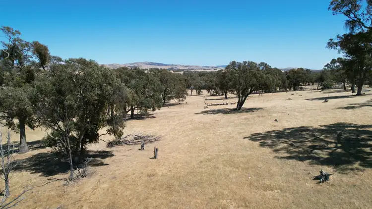 Fifth view of Homely rural property listing, CA1 & CA3 Butler Street, Lexton VIC 3352