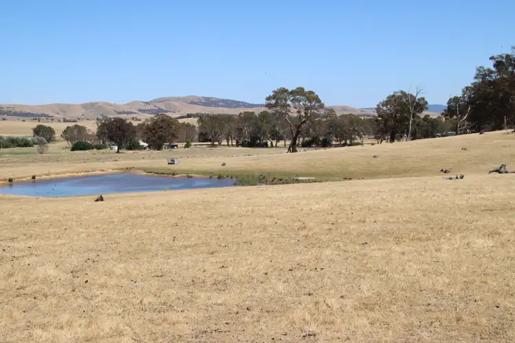 Sixth view of Homely rural property listing, CA1 & CA3 Butler Street, Lexton VIC 3352