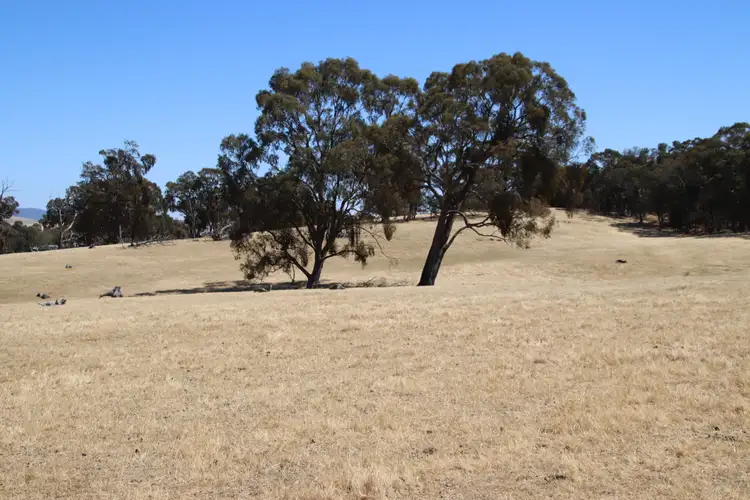 Seventh view of Homely rural property listing, CA1 & CA3 Butler Street, Lexton VIC 3352