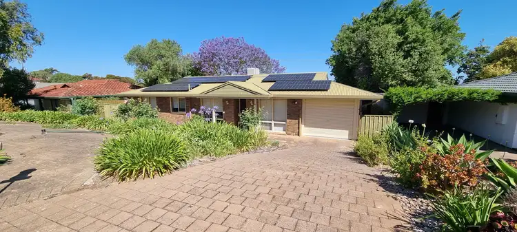 11 Elura Avenue