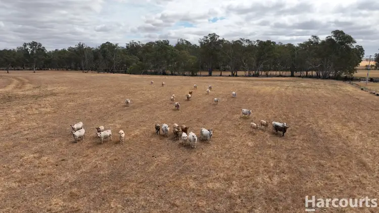 Fourth view of Homely rural property listing, 360 Asplins Road, Quantong VIC 3401