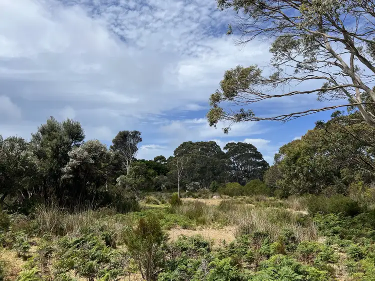 Fifth view of Homely rural property listing, 290 Red Hut Road, Lymwood TAS 7256