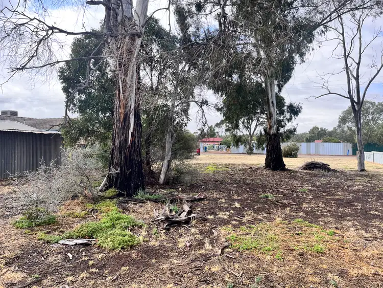 Third view of Homely land listing, 103 Victoria Street, Peterborough SA 5422