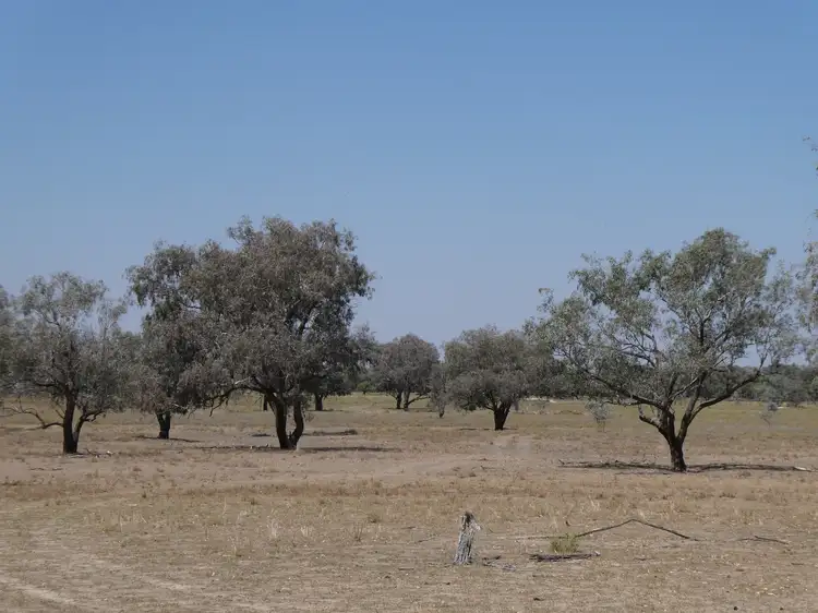 Main view of Homely rural property listing, 271 River Road, Bourke NSW 2840