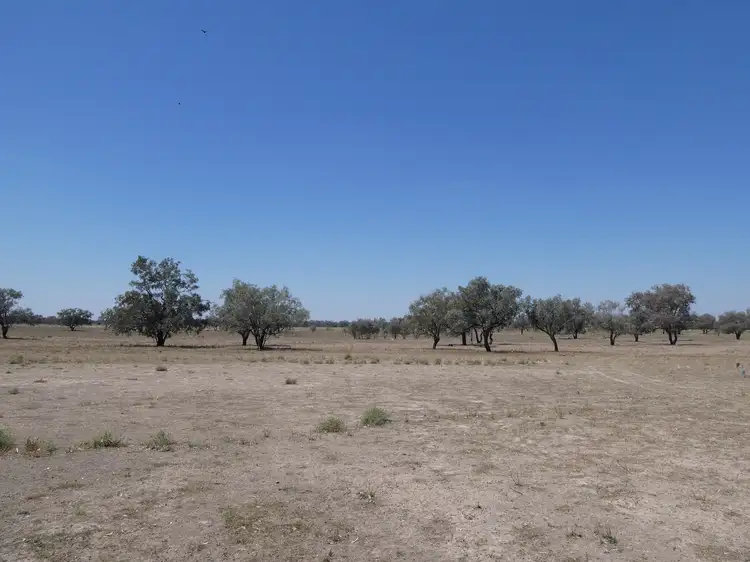 Second view of Homely rural property listing, 271 River Road, Bourke NSW 2840