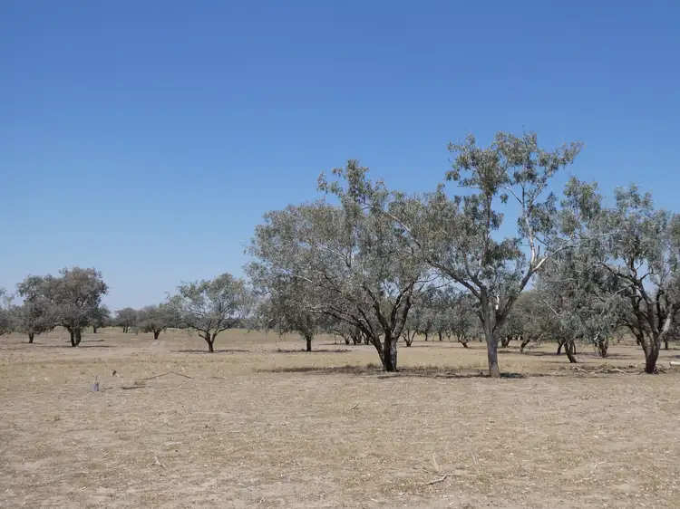 Third view of Homely rural property listing, 271 River Road, Bourke NSW 2840