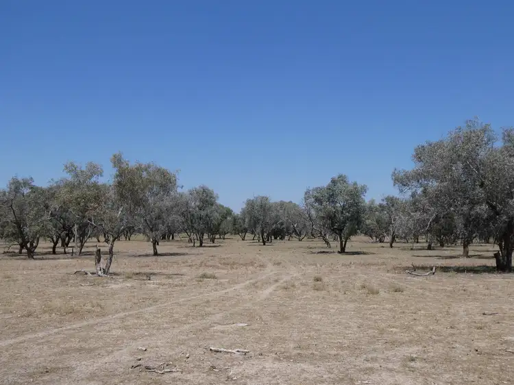 Fourth view of Homely rural property listing, 271 River Road, Bourke NSW 2840