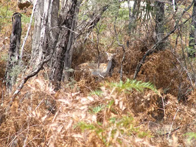 Sixth view of Homely rural property listing, Address available on request