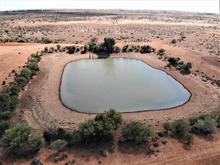 Fifth view of Homely rural property listing, 7771 Wilangee Road, Broken Hill NSW 2880