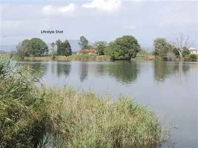 Second view of Homely house listing, 16 McLeod Street, Condong NSW