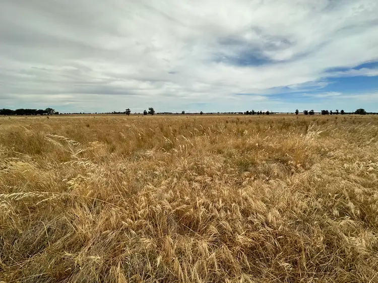 744 Lockhart Boree Creek Road, Lockhart NSW 2656