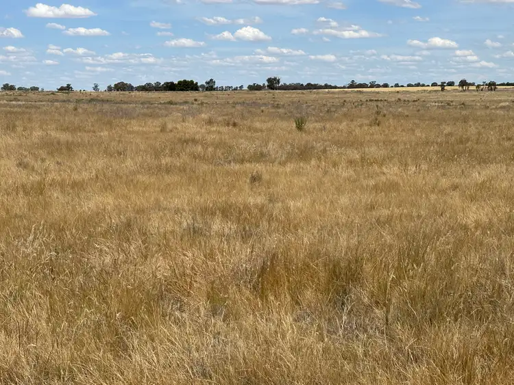 Third view of Homely rural property listing, 744 Lockhart Boree Creek Road, Lockhart NSW 2656