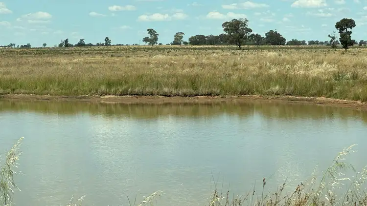 Fourth view of Homely rural property listing, 744 Lockhart Boree Creek Road, Lockhart NSW 2656