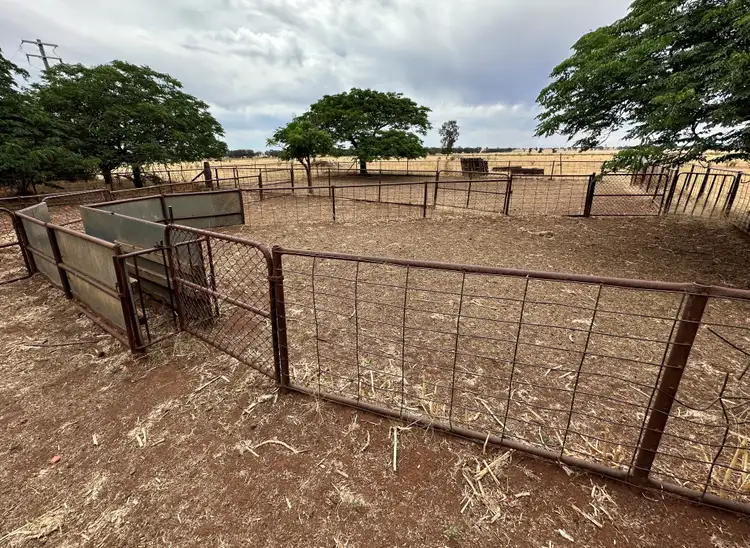 Sixth view of Homely rural property listing, 744 Lockhart Boree Creek Road, Lockhart NSW 2656