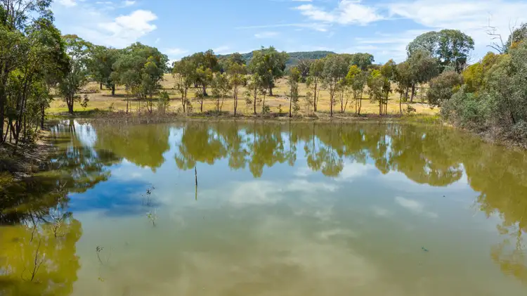 Sixth view of Homely rural property listing, 320 Toveys Road, Chiltern VIC 3683