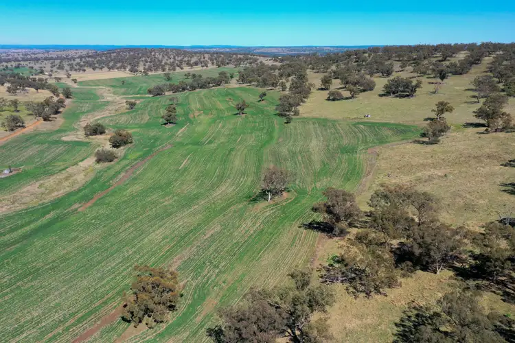 'East View' Racecourse Rd, Cassilis NSW 2329