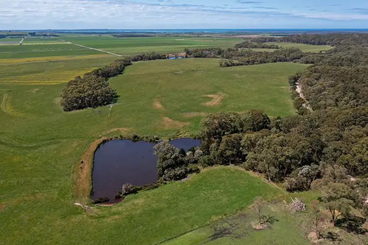 Fifth view of Homely rural property listing, 1621 Montagu Road, Montagu TAS 7330