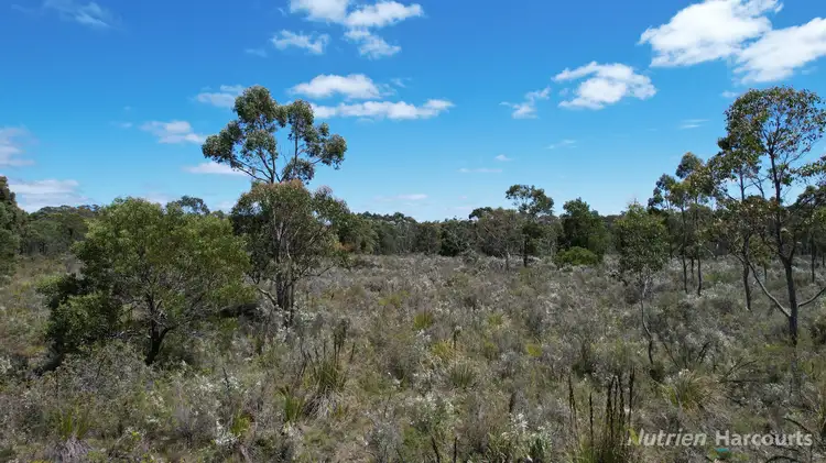 Main view of Homely rural property listing, "Myamyn East" Triggers Road, Myamyn VIC 3304