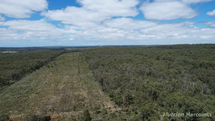 Second view of Homely rural property listing, "Myamyn East" Triggers Road, Myamyn VIC 3304