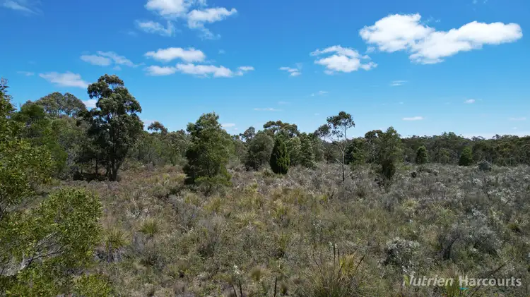 Seventh view of Homely rural property listing, "Myamyn East" Triggers Road, Myamyn VIC 3304