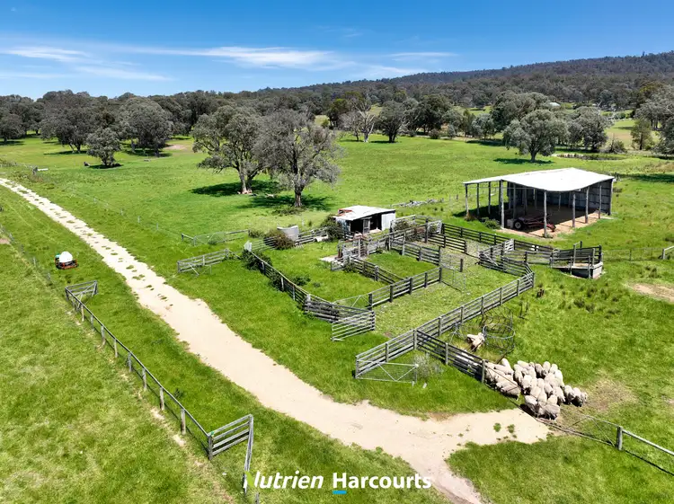 Fourth view of Homely rural property listing, 480 Toongabbie-Cowwarr Road, Cowwarr VIC 3857