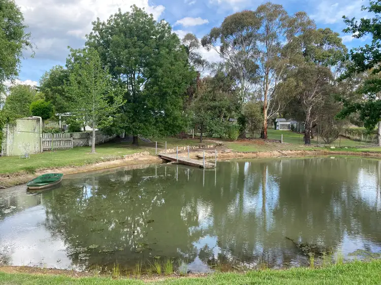 Third view of Homely rural property listing, 384 Furracabad Road, Glen Innes NSW 2370