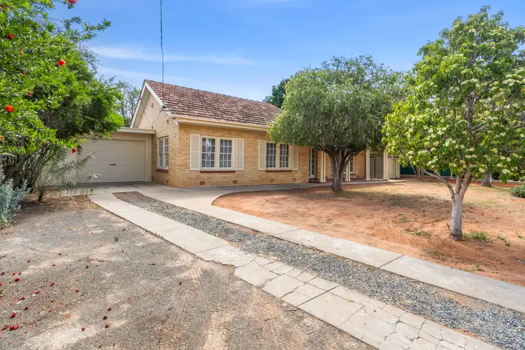 Third view of Homely house listing, 81 Nineteenth Street, Renmark SA 5341
